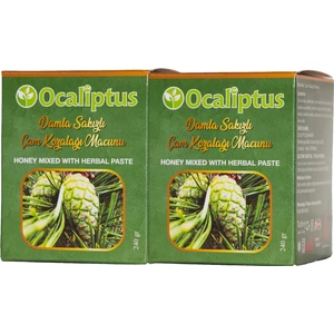 Damla Sakızlı Çam Kozalağı Macunu 240 gr x 2 Adet