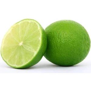 2 Yaşlı Misket Limonu (lime) Tam Bodur (özel Aşı)(üzeri Meyveli) Saksılı