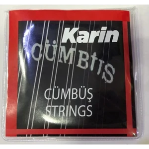 Profesyonel Standart Cümbüş Teli Seti ve Mızrap