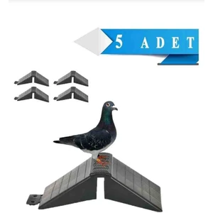 World Pigeons Güvercin Tüneği Tünek 5 Adet