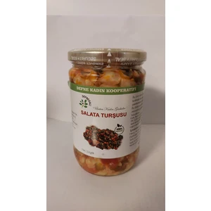 Defne Kadın Kooperatifi Karışık Salata Turşusu 550 gr