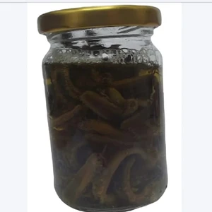 Çapari Av Boru Kurdu Salamura Balık Yemi (75 Adet Bulunur ) 1 Kavanoz