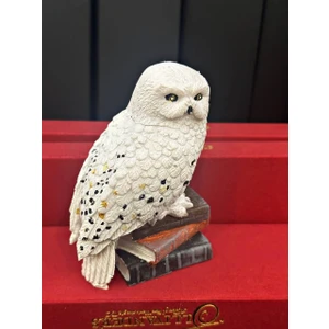Lemonade Concept Harry Potter Baykuş Hedwig Karakteri