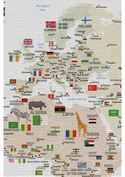 Duvar Örtüsü Çocuk Odası Dünya Haritası li Kanvas Duvar Halısı - 4043