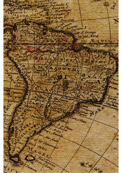 Duvar Örtüsü Eski Wintage Dünya Haritası li Kanvas Duvar Halısı - 4058 fırsatları