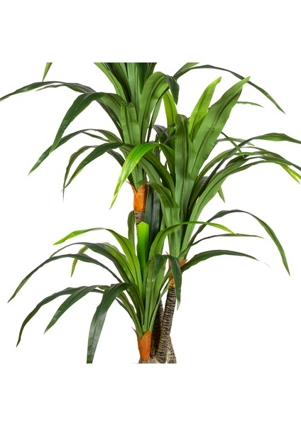 Yapay Dracaena Gerçek Dokulu 3 Dallı 160 Cm. fiyatları