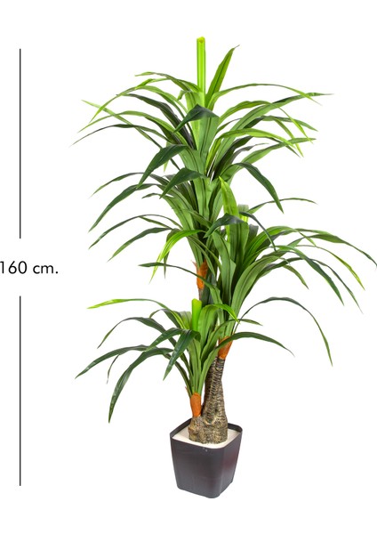 Yapay Dracaena Gerçek Dokulu 3 Dallı 160 Cm. fırsatları