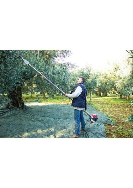 TJ53 Hfs Şanzımanlı Zeytin Hasat Makinesi fırsatları