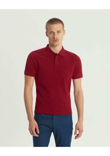 Pamuk Dar Kesim Polo Yaka Bordo Erkek Tişört fiyatları