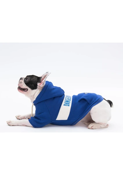 Mavi Cute Köpek Hoodie Köpek Sweat Köpek Kıyafeti Kedi Kıyafeti - L