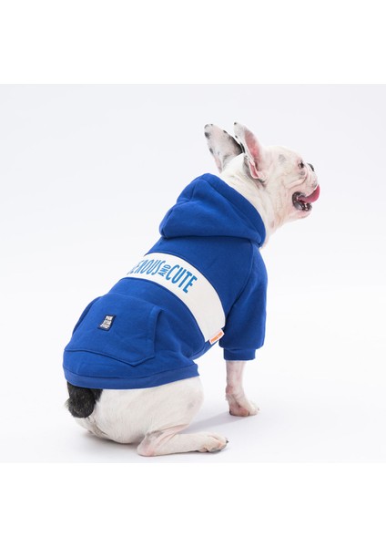 Mavi Cute Köpek Hoodie Köpek Sweat Köpek Kıyafeti Kedi Kıyafeti - L