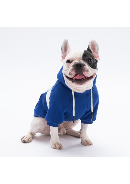 Mavi Cute Köpek Hoodie Köpek Sweat Köpek Kıyafeti Kedi Kıyafeti - L