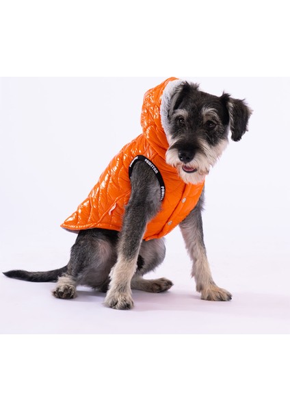 Turuncu Light Wave Anorak Yelek Köpek Yeleği Köpek Kıyafeti Köpek Yağmurluk Xl