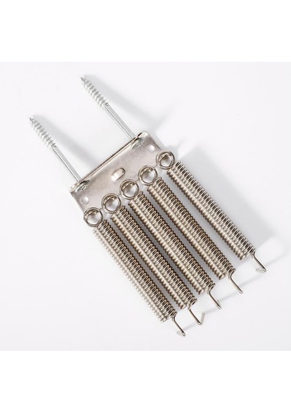 Elektro Gitar Tremolo Gergi Yayları Paslanmaz Çelik Pençe ve (Yurt Dışından)
