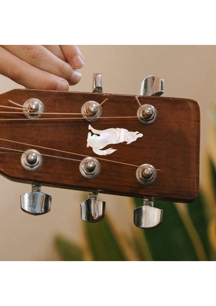 Akustik Öğrenenlere Hediyeler Için Çıkartmaları Ö (Yurt Dışından) fırsatları