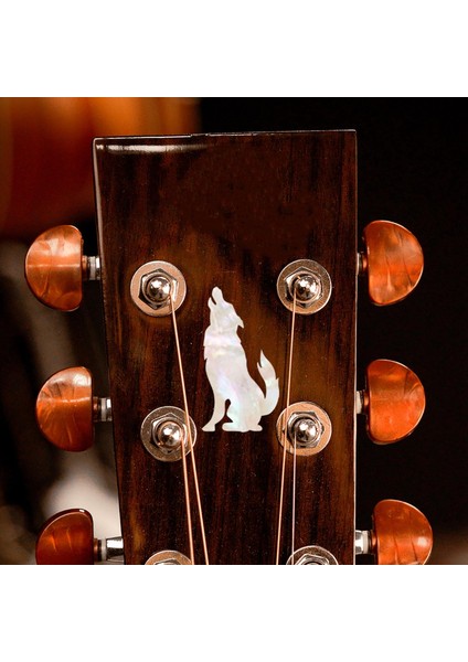 Akustik Öğrenenlere Hediyeler Için Çıkartmaları Ö (Yurt Dışından) indirimleri