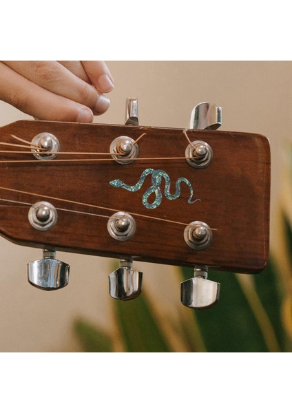 Akustik Yılanı Için Profesyonel Çıkartmaları Ö (Yurt Dışından) fırsatları