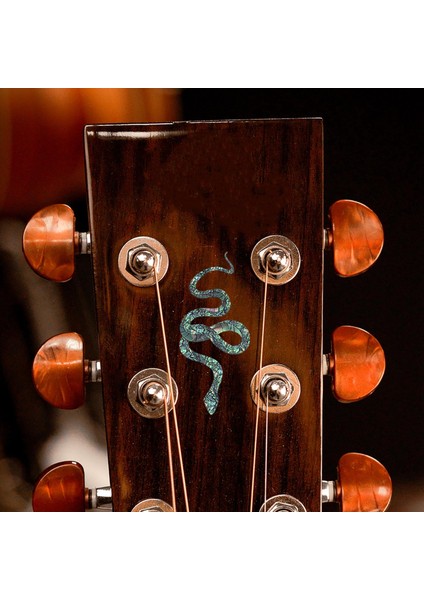 Akustik Yılanı Için Profesyonel Çıkartmaları Ö (Yurt Dışından) indirimleri