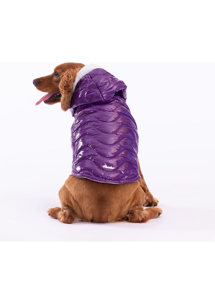 Mor Light Wave Anorak Yelek Köpek Yeleği Köpek Kıyafeti Köpek Yağmurluk Xl