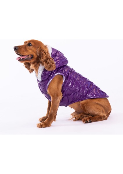 Mor Light Wave Anorak Yelek Köpek Yeleği Köpek Kıyafeti Köpek Yağmurluk Xl