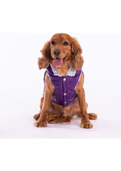 Mor Light Wave Anorak Yelek Köpek Yeleği Köpek Kıyafeti Köpek Yağmurluk Xl