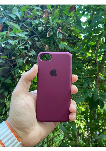 Meri Case Apple iPhone 7 ve 8 Uyumlu Logolu Içi Kadife Lansman Kılıf Arka Kapak