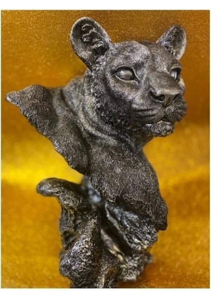 Aslan Kaplan Jaguar Biblo fiyatları