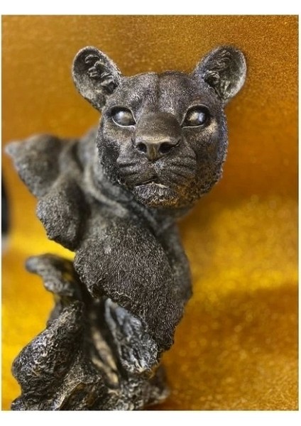 Aslan Kaplan Jaguar Biblo fırsatları