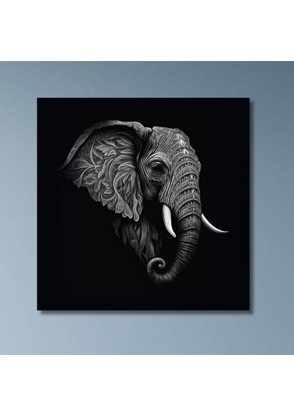 Tekli Kare Kanvas Tablo Kaliteli Siyah Beyaz Fil Portresi modelleri