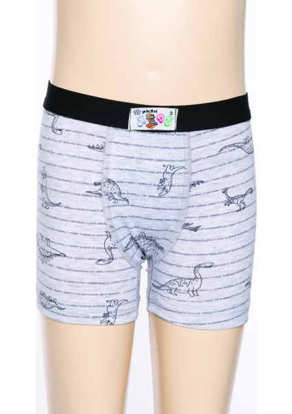 Yıldız 6'lı Erkek Çocuk Desenli Likralı Boxer Q28 fiyatları