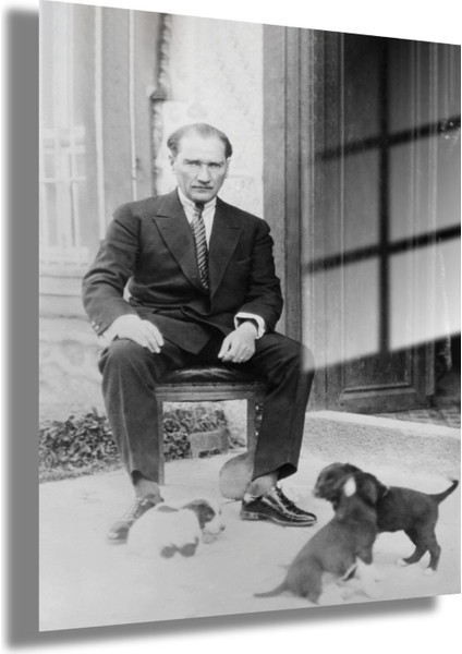 Cam Tablo Atatürk ve Yavru Köpekler