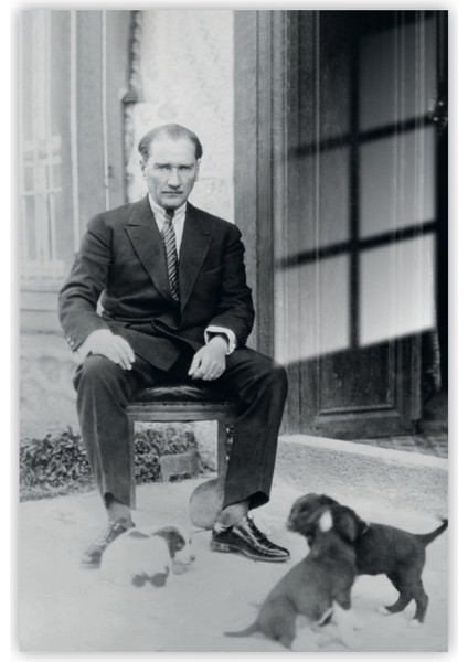 Cam Tablo Atatürk ve Yavru Köpekler