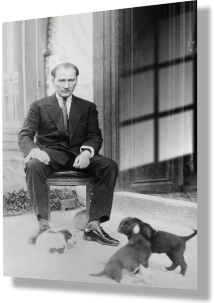Cam Tablo Atatürk ve Yavru Köpekler