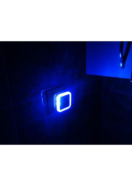 Store 2 ADET Cata Sensörlü Fişli Gece Lambası Led Mavi Işık Fotoselli 1w Ct-9500