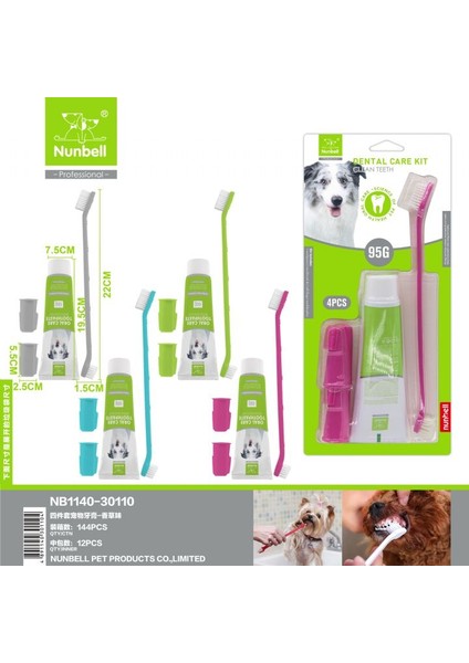 Dental Care Kit Naneli Fırça Diş Macunu Seti