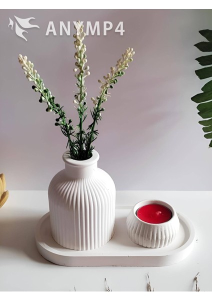 Vazo Seti Pampas Vazo Mumluk Dekoratif Tabak Biblo Seti Mum Hediyeli 3 Parça Ham-Boyasız