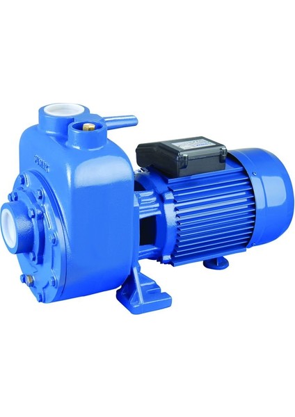 DSM300/2 220V Kendinden Klapeli Pompa 3hp / 2''