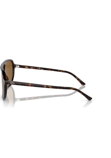 0RB2205 902/33 57 Kadın Güneş Gözlüğü fiyatları