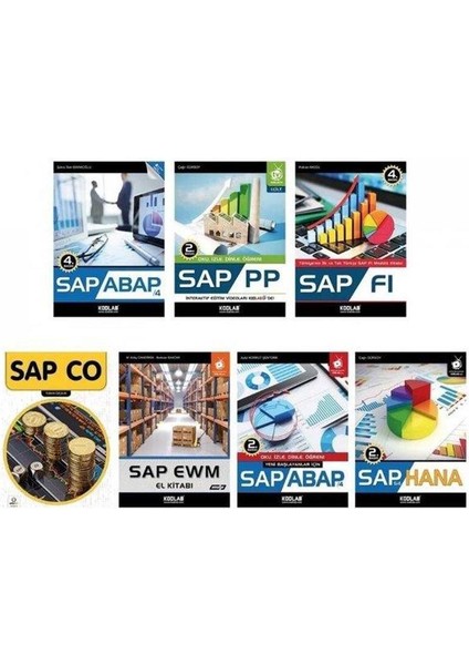 Süper Sap Programlama Seti 2