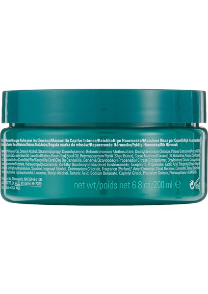 Botanical Repair Intensive Strengthening Masque Rich 200 ml indirimleri
