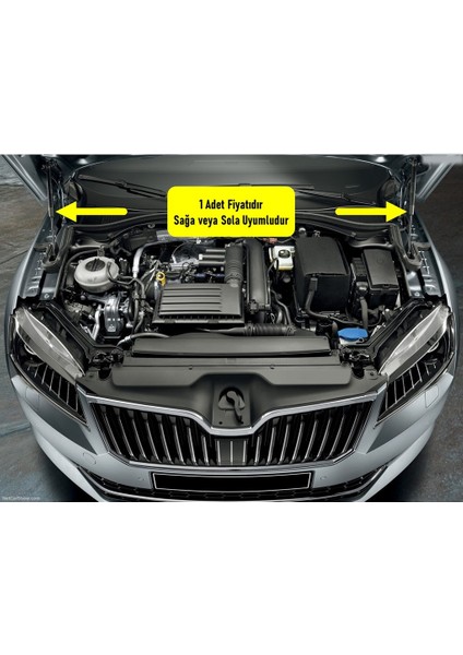Skoda Superb 3 2015-2019 Motor Kaputu Amortisörü Pistonu 3V0823359A