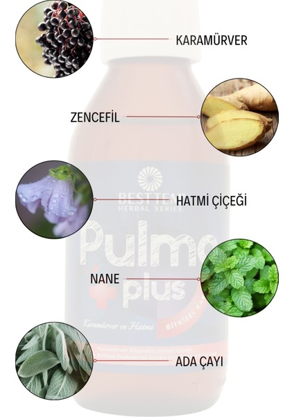 Pulmo Plus 100 ml