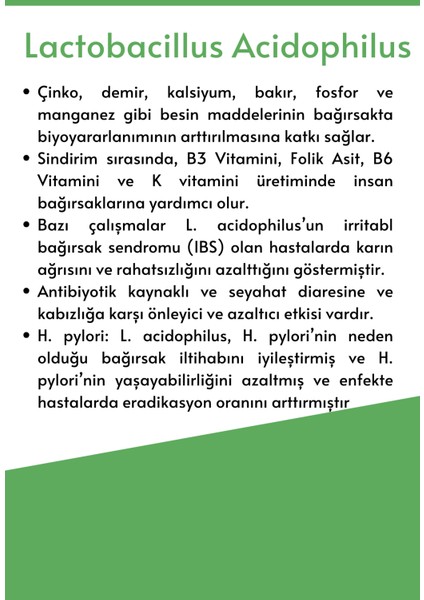 Lactobacillus Plantarum 30 Kapsül + Probiyotik Complex Probiyotik Prebiyotik ve Vitamin 30 Kapsül