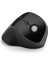 Pro Fit Ergo Dikey Kablosuz Siyah Mouse 2