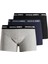 Trunks 3 Pack 12160750 1