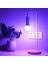 9W Uzaktan Kumandalı 15 Farklı Renk Seçenekli LED Ampul 2