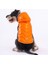 Turuncu Light Wave Anorak Yelek Köpek Yeleği Köpek Kıyafeti Köpek Yağmurluk M 1