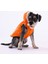 Turuncu Light Wave Anorak Yelek Köpek Yeleği Köpek Kıyafeti Köpek Yağmurluk M 2