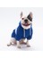 Mavi Cute Köpek Hoodie Köpek Sweat Köpek Kıyafeti Kedi Kıyafeti - L 3