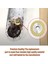 W10112253 9706416 Motor Fırçası W10380496 4162897 Kitchenaid Standı ve Bir Çift Motor Fırçası Için Mikser Sonsuz Tahrik Dişlisi (Yurt Dışından) 2